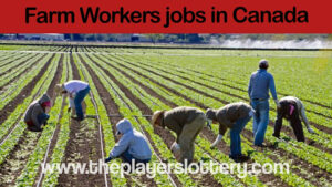Latest Farm Workers Jobs In Abbotsford Canada